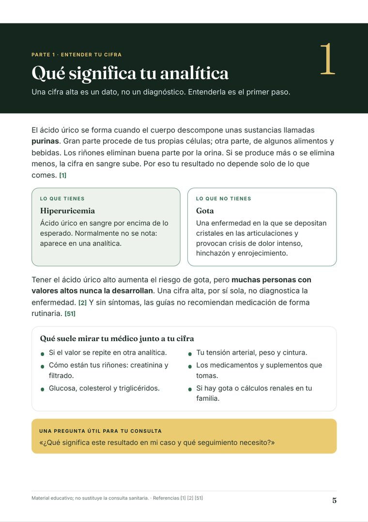 Página de la guía: qué significa tu analítica